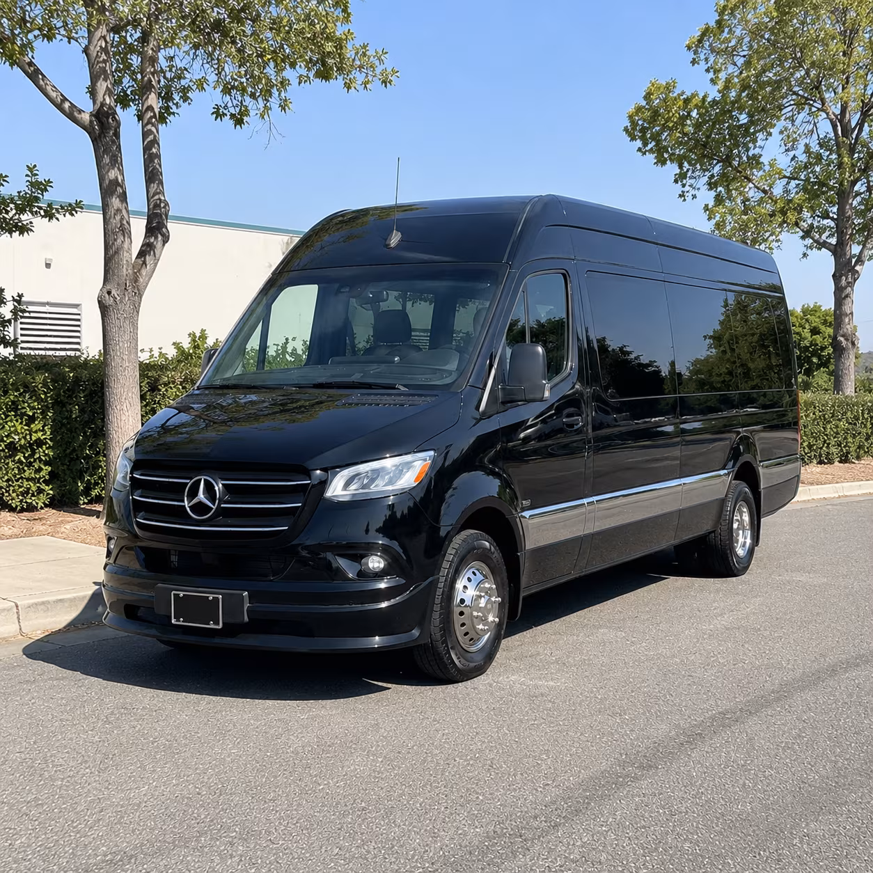 elk grove 8 passenger sprinter van