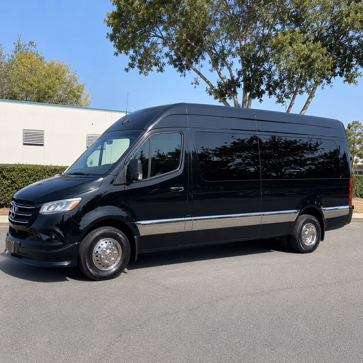 find the perfect transportation for your next birthday 3